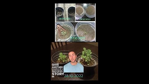 Simple way using copper to harness the atmospheric energy to help your plants grow faster.