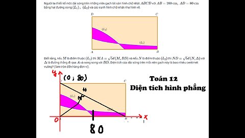 Toán 12: Người ta thiết kế một dải sóng trên những viên gạch lát sàn hình chữ nhật (ABCD) với