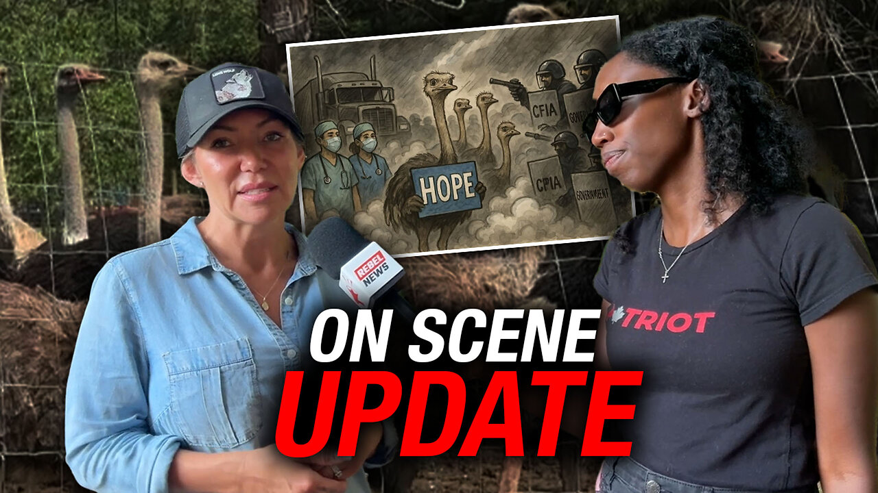 Ostrich slaughter: Why is Carney’s Canada killing healthy research birds?