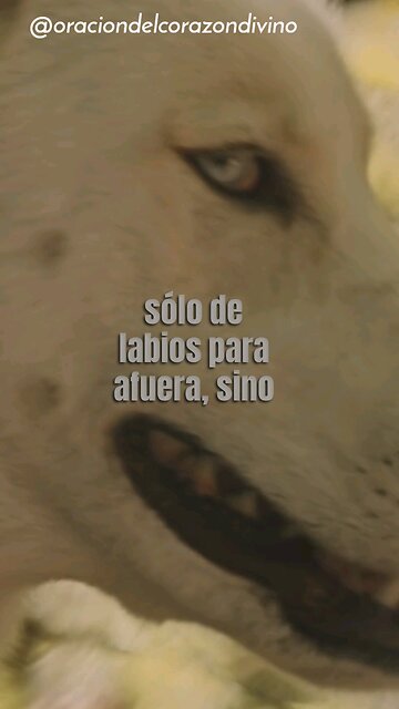 Oración para amar con hechos y de verdad..