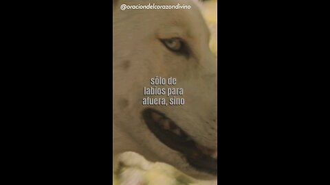 Oración para amar con hechos y de verdad..