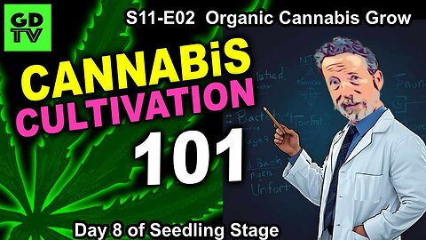 S11 E02 Cannabis Grower 101 – How To Grow Cannabis The EASY Way