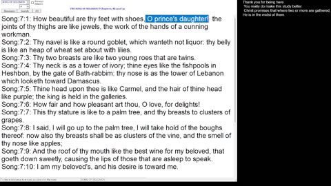 Song of Solomon 7-8
