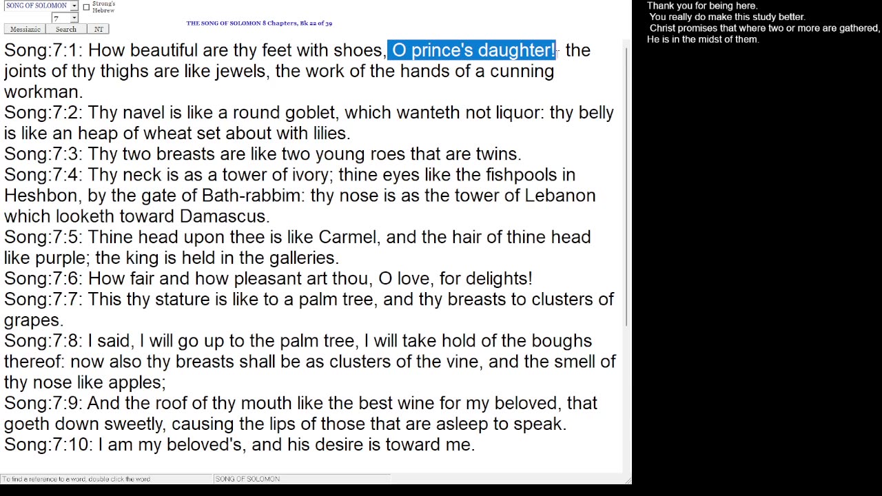 Song of Solomon 7-8