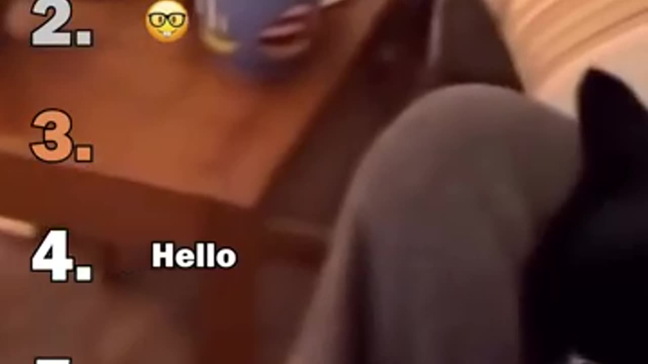 Ranking Best Black Cats Void Moments