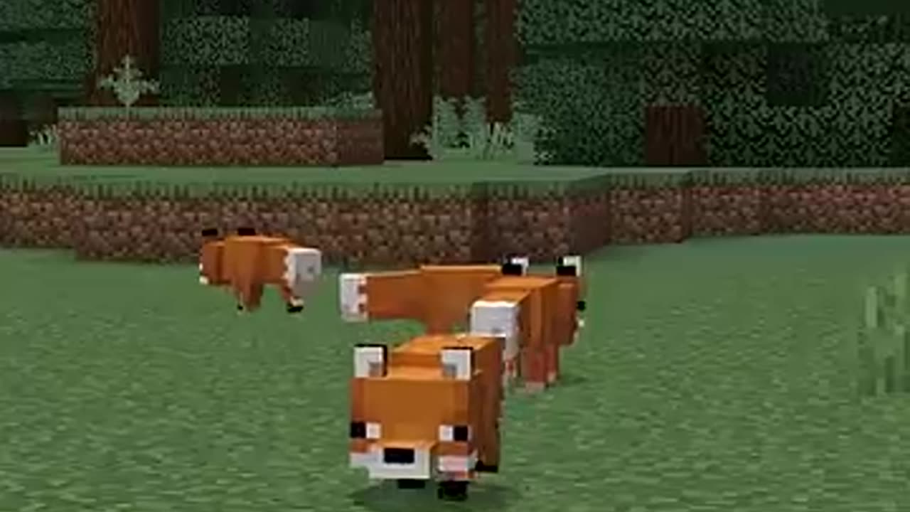 Viral: MOB VOTE WINNERS - wait for it...