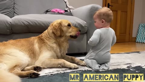 Cute dog reaction part -2 watch now