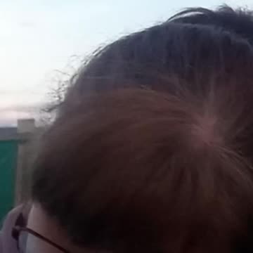 Scottish Gardener Vs Midges