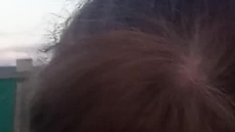 Scottish Gardener Vs Midges