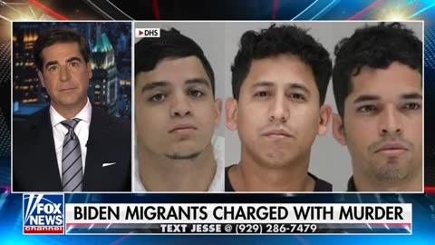 ICE Cleans Up Biden's Illegal Immigrant Disaster