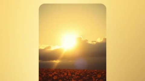 Floor Seasons In Reggae #reggae #Christ #God #love #freedomofexpression