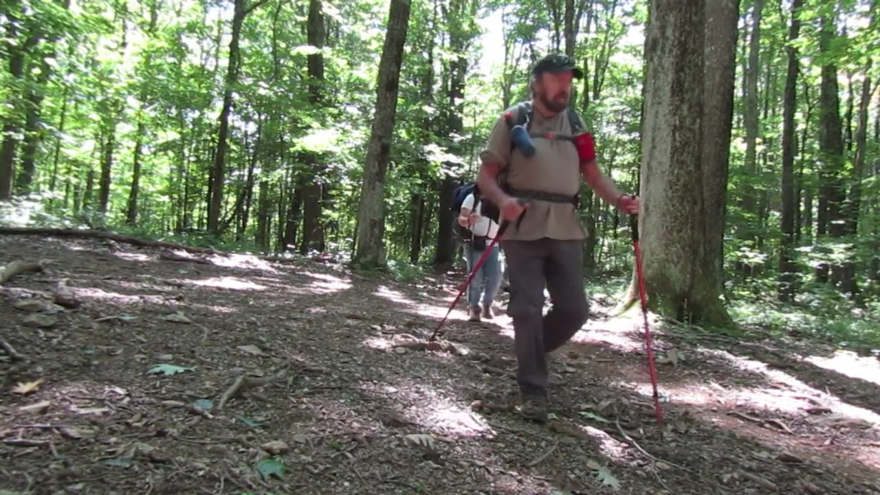 Backpacking the Fox Creek Loop/Mount Rogers National recreation Area