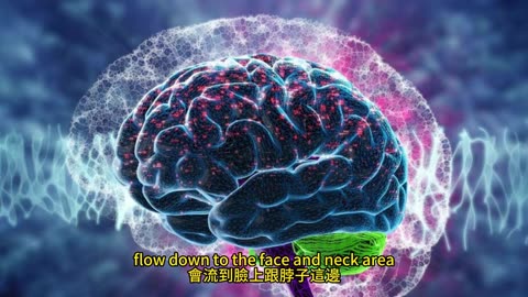 記憶變差 按摩改善