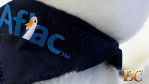 Cybercriminals breach Aflac as part of hacking spree against US insurance industry