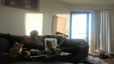 I quit my job today. I feel like I'm being bullied at jobs.