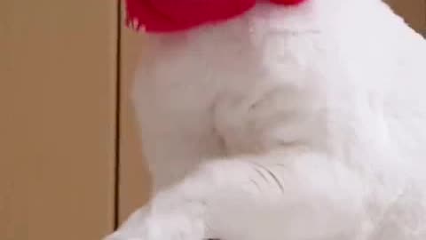 FILME A era dos bichos completao.mp4