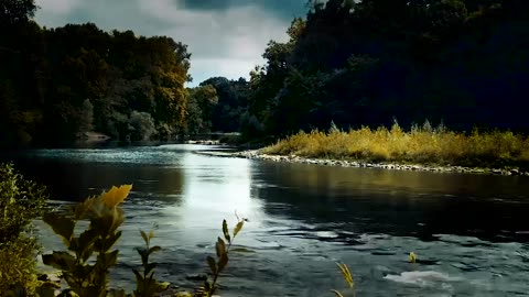 Forest River Atmosphere - Relaxing Nature Sounds for Peaceful Sleep