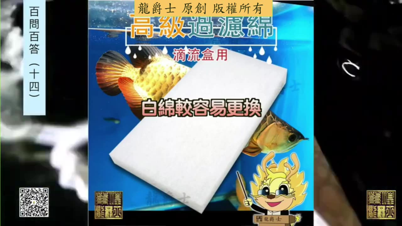 【龍爵士】千問千答 Q145 生化棉與白棉哪個要在第一層