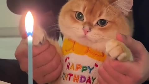 Birthday