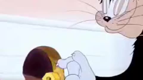 Tom & Jerry Cartoon