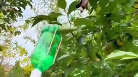 实用生活技巧大赏