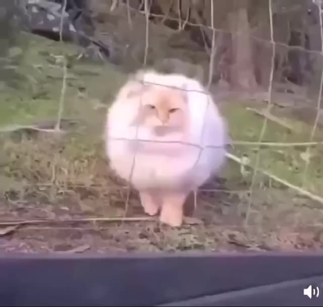 Pilots need to have a minimum of 1200 flying hours to drop off something on a moving ship