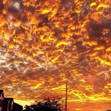 Tv - Entertainment, SUPER 🔥 Top Videos You Have to See to Believe 💯