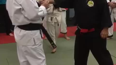 Hapkido