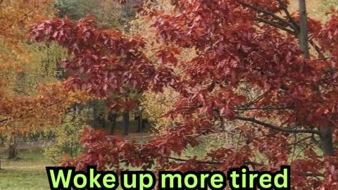 Insomnia Facts #AncientWisdom 📜 #SleepBetter 😴 #OldSchoolTips 🌙 #NapTime 🛏️ #ZenMode 🧘