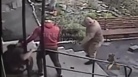 Ukrainian military now hunts for volunteers dressed in adidas suits!