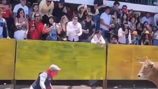 🤣😡 Ferdinand's Revenge is EPIC! | FunFM