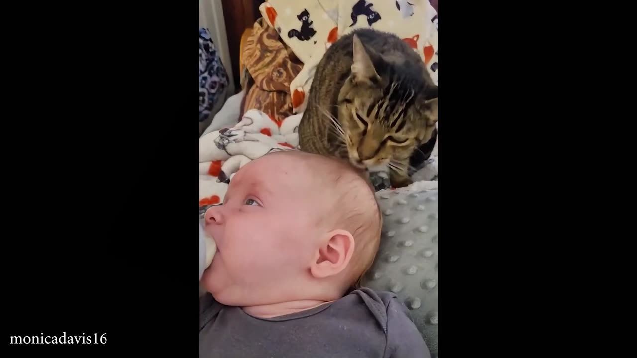 When Your Sibling Is A CAT 💕