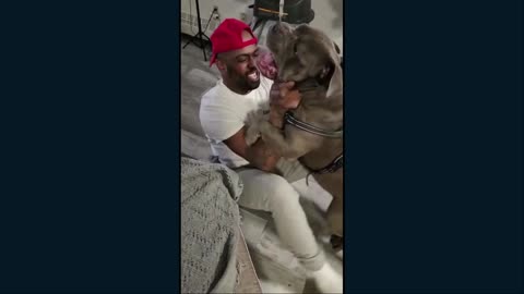 Meet Blue and his family