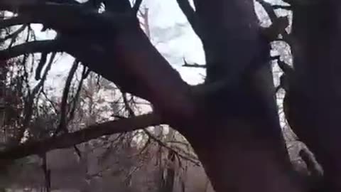 🪓✝️ Ukraine War | Russian Soldiers Erect Orthodox Cross in Ukraine | RCF