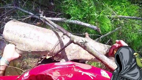 River cleanup.
