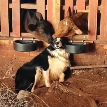 Living the best life.. 😅