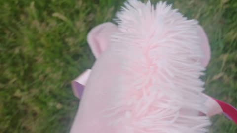 Showing my new hobby horse