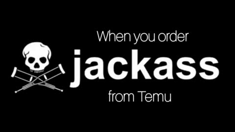 When you order Jackass from Temu