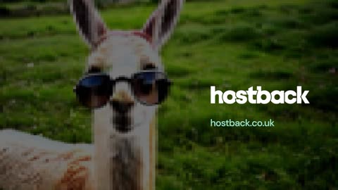 Don't just host. Hostback.