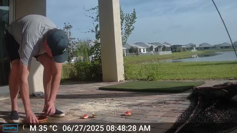 Farmer Steve's Porch: 6-26-2025