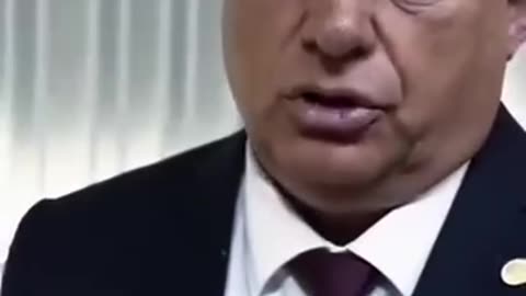 HAZUG SAROKBA SZORITOTT SZARHÁZI PATKÁNYOK