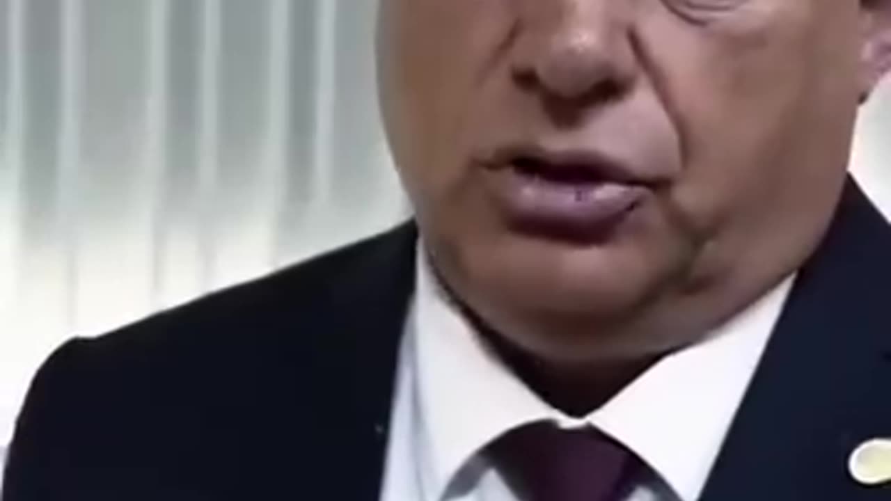 HAZUG SAROKBA SZORITOTT SZARHÁZI PATKÁNYOK