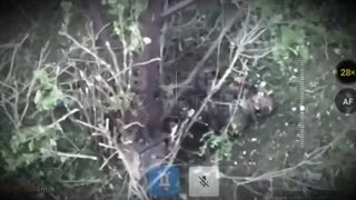 🎯💥 Ukraine Russia War | TIVAZ Artillery Strikes Russian Forces with FPV & 155mm Shells | RCF