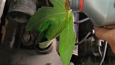 DIY Funnel