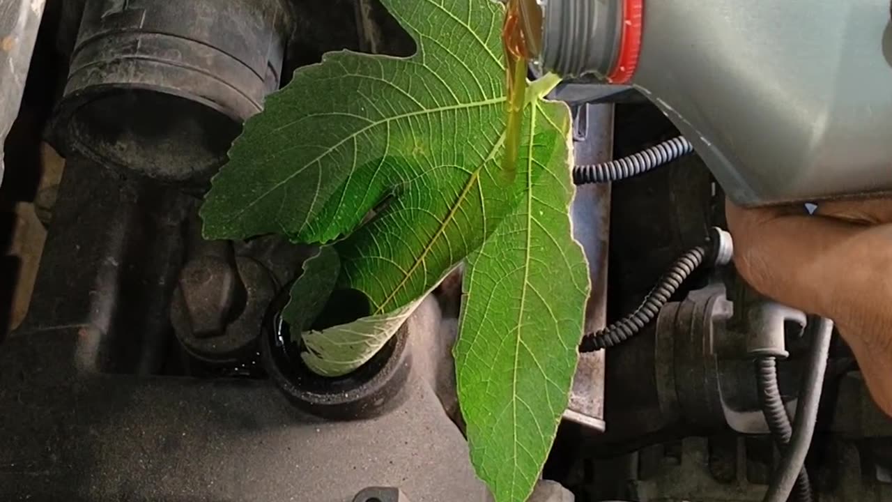 DIY Funnel