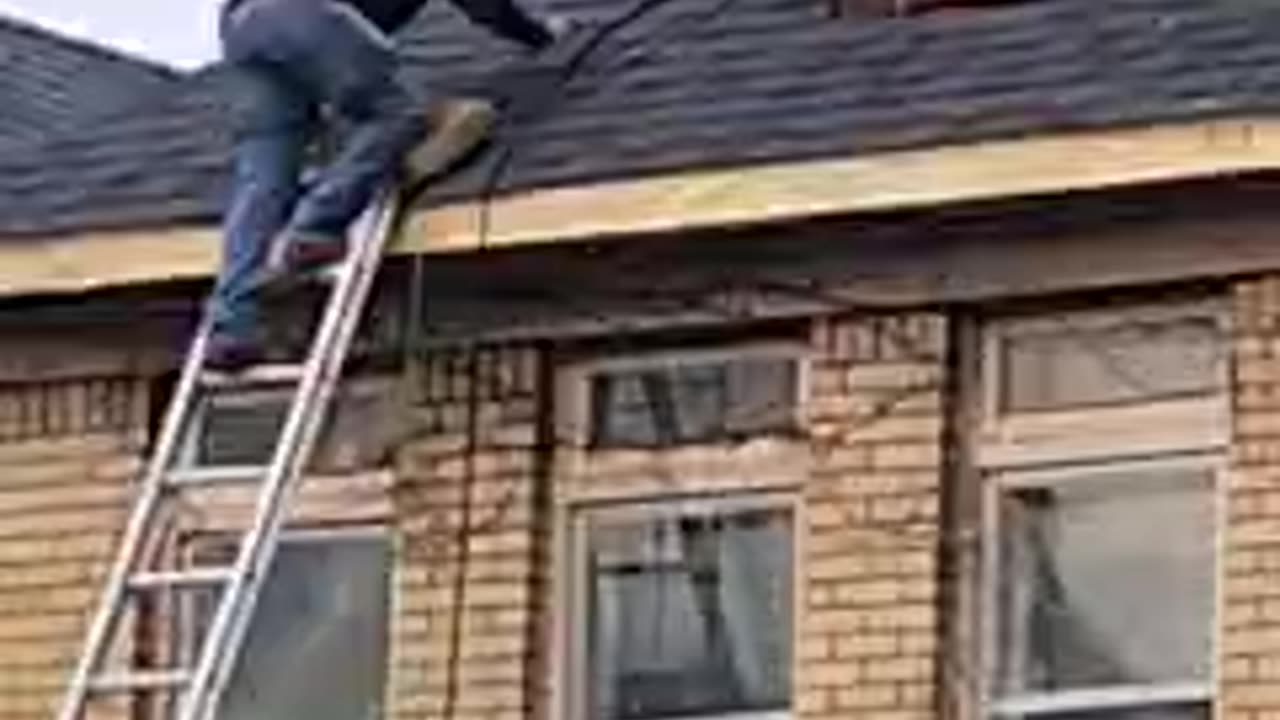 Roofing And Other Work At Doc's House. THE SHEA SHOW