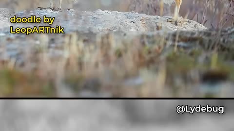 📲 VIRAL CONTENT 📲 2026