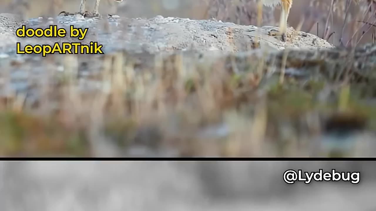 📲 VIRAL CONTENT 📲 2026