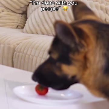 She really said "I'm done with you people"