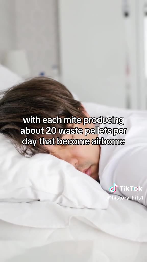 8 CRAZY FACTS ABOUT WHAT’S LIVING IN YOUR MATTRESS